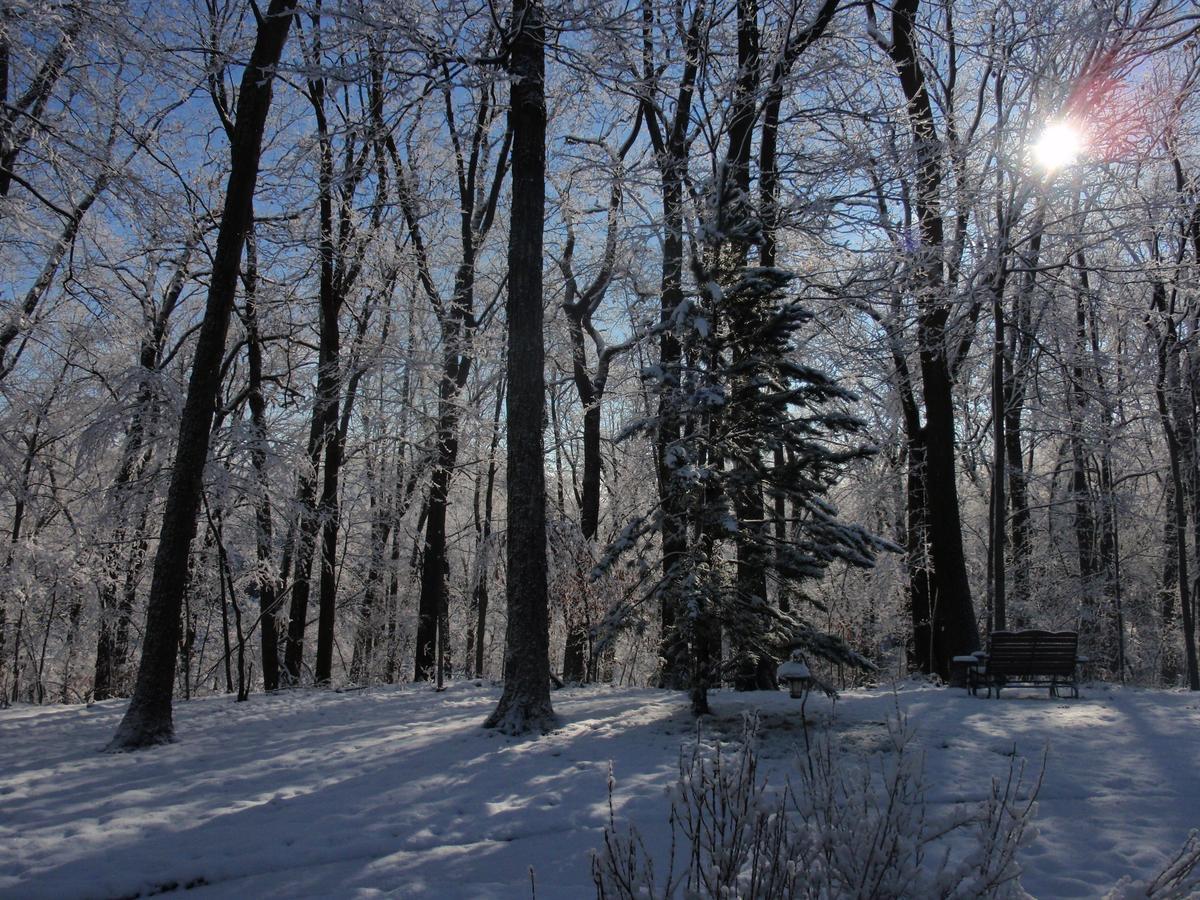 Hidden Serenity Bed And Breakfast West Bend Esterno foto